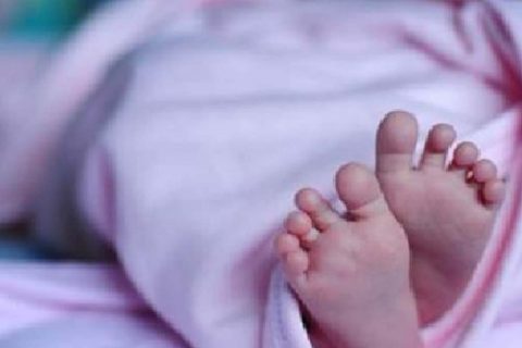 नवजात शिशु फेला प¥यो