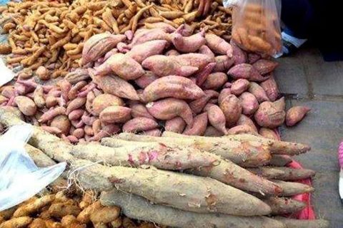 सस्तियो तरुलको मूल्य