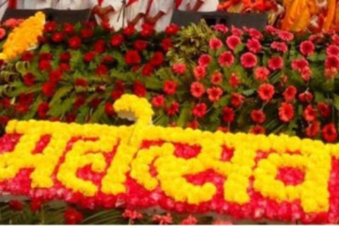 चौथो लायन्स महोत्सव शनिबारदेखि