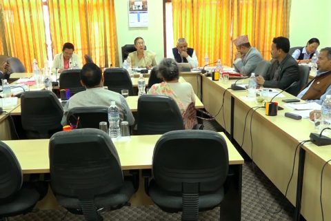नेपाली पुरूषसँग बिहे भएर आउने विदेशीलाई ७ वर्षमै नागरिकता दिने कि नदिने ?