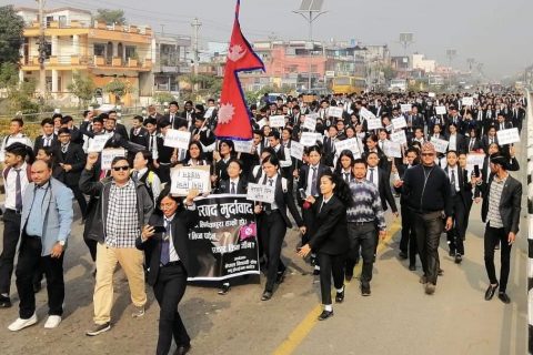 न्यू होराईजन कलेजद्धारा बिरोध प्रदर्शन