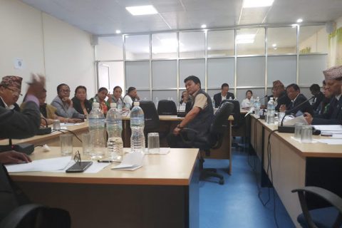 संसदीय समितिद्धारा कुवेतमा थुनामा नेपाली कामदारलाई फिर्ता गर्न सरकारलाई निर्देशन