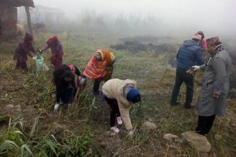 तिलोत्तमामा सघन सरसफाई,अभियन्ताहरु  कुलो—नहरमा पोलोथिन बटुल्दै