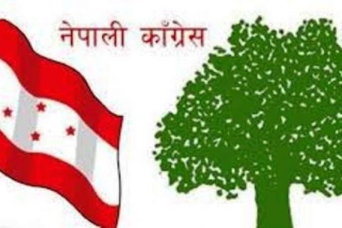 चितवनको तिन वटै वडामा नेपाली काग्रेस विजयी