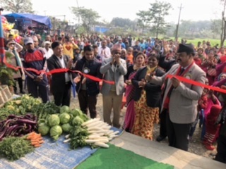 तिलोत्तमा वडा नं १४ स्थिति कृर्षि हाट बजारको समुद्धघाटन