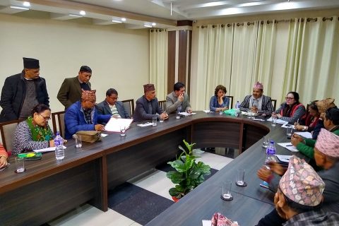 जिपी कोईराला फाउण्डेशनमा मनोनयन