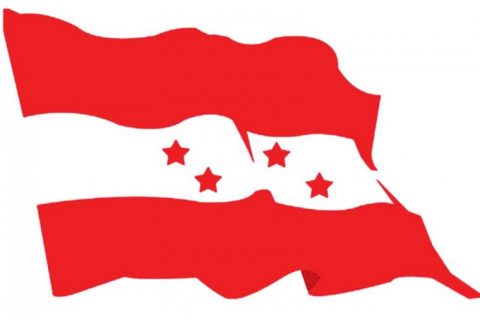 राष्ट्रिय सभामा प्रदेश ५ बाट काँग्रेसका न्यौपाने, पाण्डे र हलुवाइ