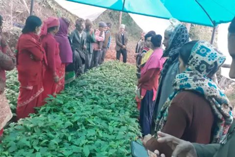 कफी सुपर जोन गुल्मीको उद्यमशिलता तथा क्षमता अभिवृद्धि तालिम प्युठानमा सम्पन्न