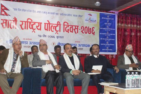 विचौलियाको कारण व्यवसाय धरसायी परेका भन्दैे अन्त्य गर्न सरकार संग किसानहरुको माग