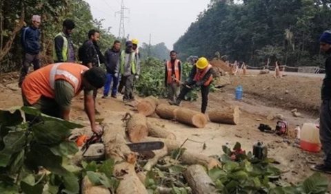नारायणगढ-बुटवल सडक खण्ड बिस्तार: ४६ हजार रुख काटिदै
