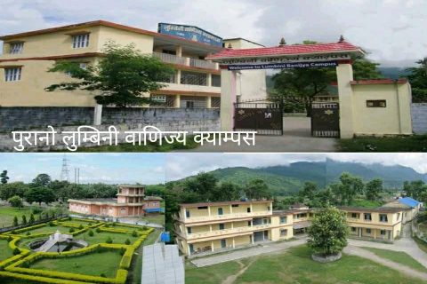 लुम्बिनी वाणिज्य क्याम्पस, अनेरास्ववियू र स्ववियु निर्वाचन