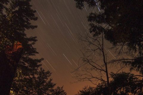 विश्व अमेरिकाको टेनेसीमा आँधी,  २४ को मृत्यु