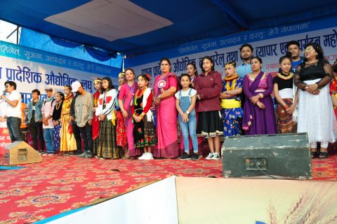 घरेलु साना तथा औद्येगिक महोत्सव:डान्स आईडलका कार्यक्रम जारी