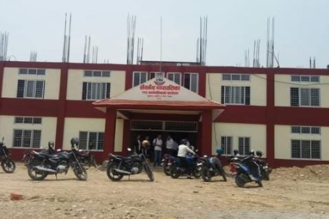 सैनामैना नगरपालिकाले भोली किटनाशक औषधी छर्किने