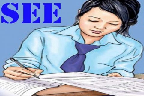 एसइई सञ्चालनबारे शिक्षामन्त्री र प्रदेशका मन्त्रीबीच भिडियो कन्फरेन्समा छलफल