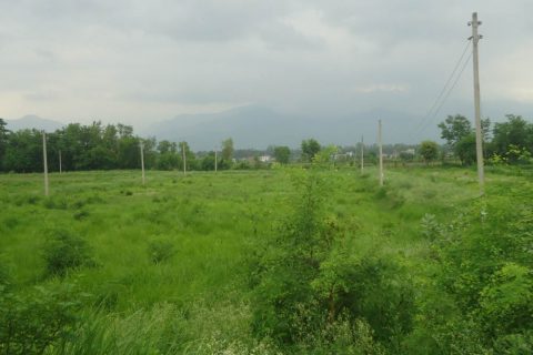तिलोत्तमामा जग्गा बाँझो राखिए सधियाँरले खेती गर्न पाउने !