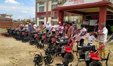 सैनामैना नगरपालिकाद्धारा कृषि क्षेत्रलाई विशेष प्रथामिकता