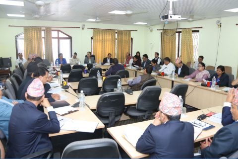 दशगजा क्षेत्रमा रहेको भौतिक संरचना तत्काल हटाउन सरकारलाई निर्देशन