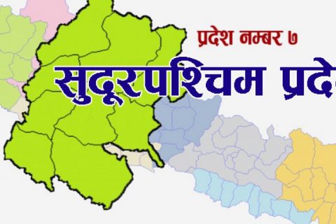 घर पठाएका दुई सय ५० भन्दा बढीमा कोरोना सङ्क्रमण पुष्टि