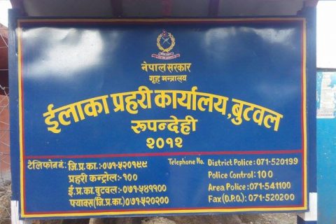 छोरालाई ज्यूंदै खाडलमा गाड्ने रूपन्देहीका राजुलाई प्रहरीद्वारा  पक्राउ