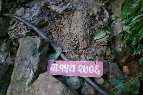 अर्घाखाँचीमा स्करपियो दुर्घटना : एक जनाको मृत्यु