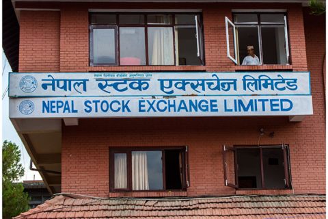 नेप्सेमा सामान्य सुधार