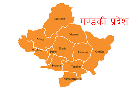 गण्डकी प्रदेशमा थप ८ जनामा कोरोना सङ्क्रमण पुष्टि
