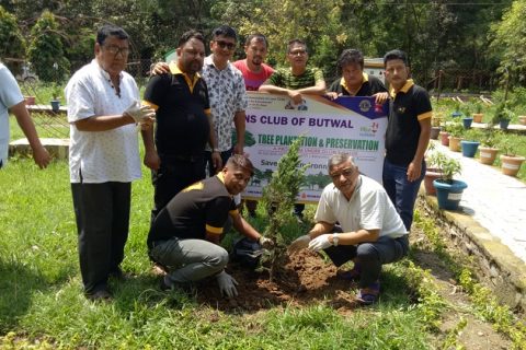 लायन्स लायनेस र लियो क्लब बुटवलद्धारा बृक्षारोपण