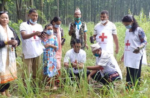 रेडक्रस जिल्ला शाखाको स्वर्ण जयन्तिका अवसरमा वृक्षारोपण