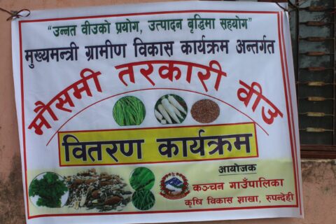 कञ्चनका कृषक समूहहरुलाई मौसमी तरकारीको बिउ बितरण
