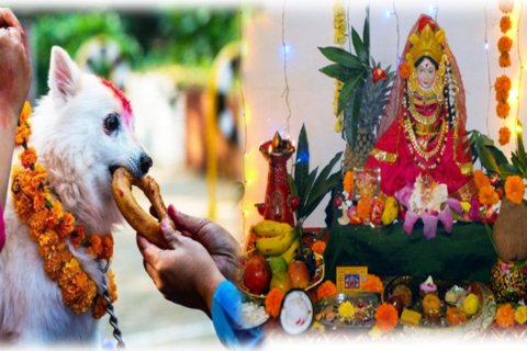 यमपञ्चकको तेस्रो दिन लक्ष्मी पूजा गरिँदै, कुकुर तिहार पनि आजै थप सामग्री