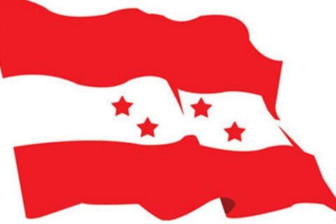 कांग्रेसद्वारा आन्दोलनको घोषणा, ३० गते देशभर प्रदर्शन