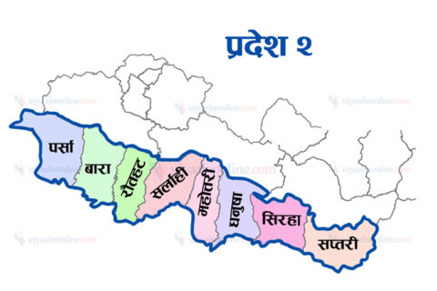 प्रदेश २ मा नेकपा संसदीय दलका नेताविरुद्ध अविश्वास प्रस्ताव दर्ता
