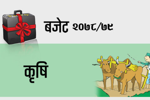 कृषि क्षेत्रका लागि ४५ अर्ब नौ करोड रुपैयाँ विनियोजन