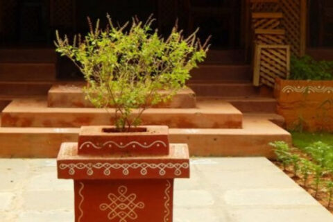 आज निर्जला एकादशी : घरघरमा तुलसीको दल राखिँदै