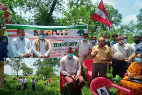 वीपीको स्मृतिमा बृक्षरोपण र शालिकमा माल्यापर्ण