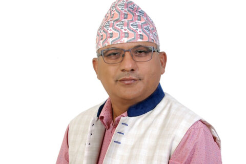 भूमिश्वरको प्रष्टोक्ति : विमलाजीलाई उहाँकै इच्छामा मुख्यमन्त्री निवास पुर्‍याएको हुँ