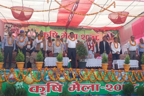 बुटवलमा कृषि मेला शुरु: कालिगण्डकी–तिनाउ डाईभर्सनमा प्रदेश प्रमुख शेरचनको जोड