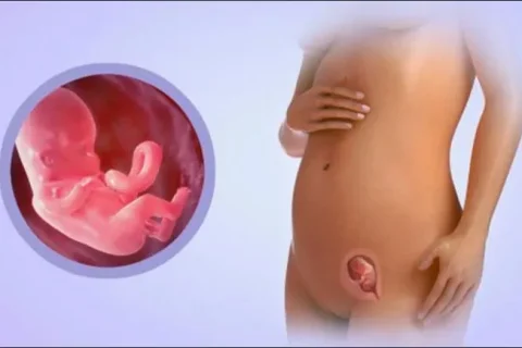 शिशुको टाउको काटेर गर्भमा छोडिदिएपछि….