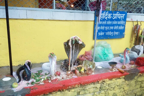 नागपञ्चमी पर्व : आज परम्पराअनुसार नागको पूजा गरी मनाइयो