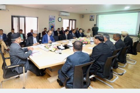 लगानी बोर्डअन्तर्गतका ११ विदेशी लगानीकर्ता कम्पनीसँग प्रधानमन्त्रीको छलफल