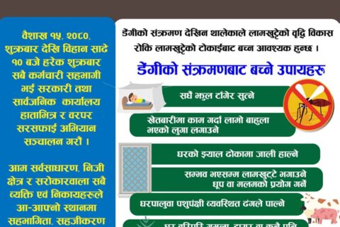 डेङ्गु सङ्क्रमण नियन्त्रणका लागि हरेक शुक्रवार बिहान ‘साढे १० बजे १० मिनेट’ अभियान