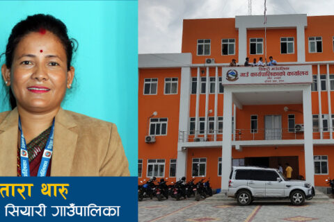 सियारीमा १ सय बढी मुद्धा न्यायिक समितिद्वारा निरुपण