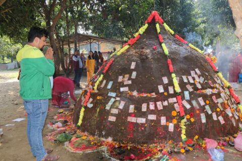 आज गाेवर्द्धन पूजा, गोरु, किसान र हलोको पूजा गरिँदै