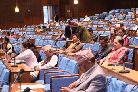 प्रतिनिधिसभामा आज पनि विनियोजन विधेयकमाथि छलफल