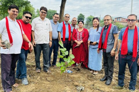 तिलोत्तमा व्यापार संघको ११ औं स्थापना दिवसमा वृक्षारोपण