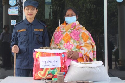 १३ किलो गाँजासहित एक महिला पक्राउ