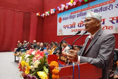 ट्रंक र डेडिकेटेड लाइनमा देखिएका समस्याको समाधान विद्युत प्राधिकरण आफैले खोज्नुपर्ने,अर्थमन्त्री  पौडेल