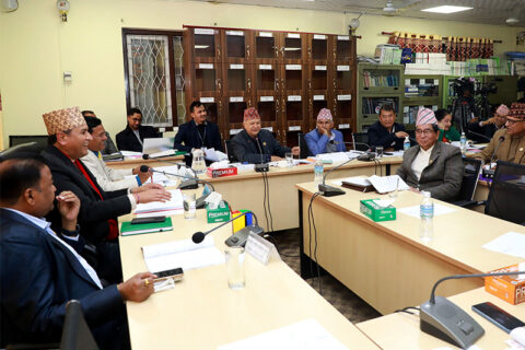 निजामति सेवाको खुलातर्फ भित्रबाट लड्न नपाइने व्यवस्था राखौँ : गगन थापा