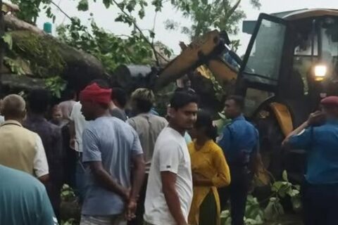 पश्चिम नवलपरासीको सुनवलमा हावाहुरीले रुख ढल्दा च्यापिएर २ जनाको मृत्यु